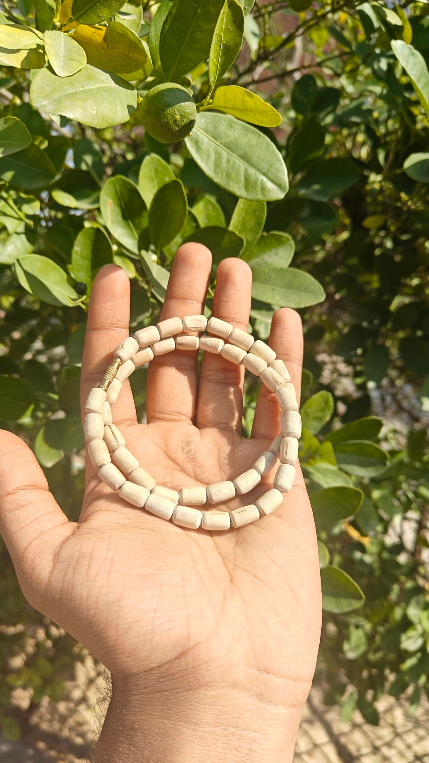 Tulsi Kanthi Mala ( Big Size) - Image 2
