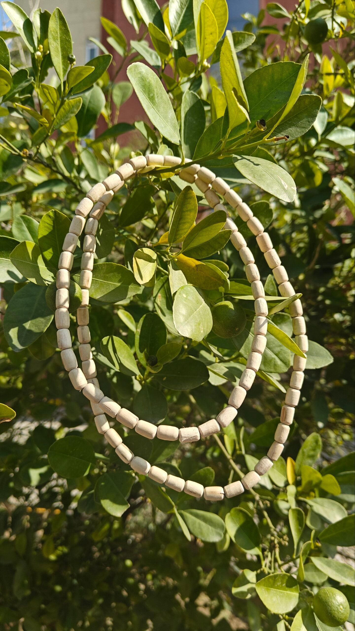 Tulsi Kanthi Mala 2 Round (Big Size) - Image 2