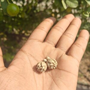 Handcrafted Original Tulsi Studs – Pure & Sacred from Vrindavan - Thumbnail Image 2