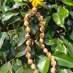 Radha Naam Tulsi Sumarni Mala 27+1 Beads