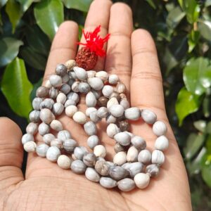 Vaijanti Mala - Thumbnail Image 2