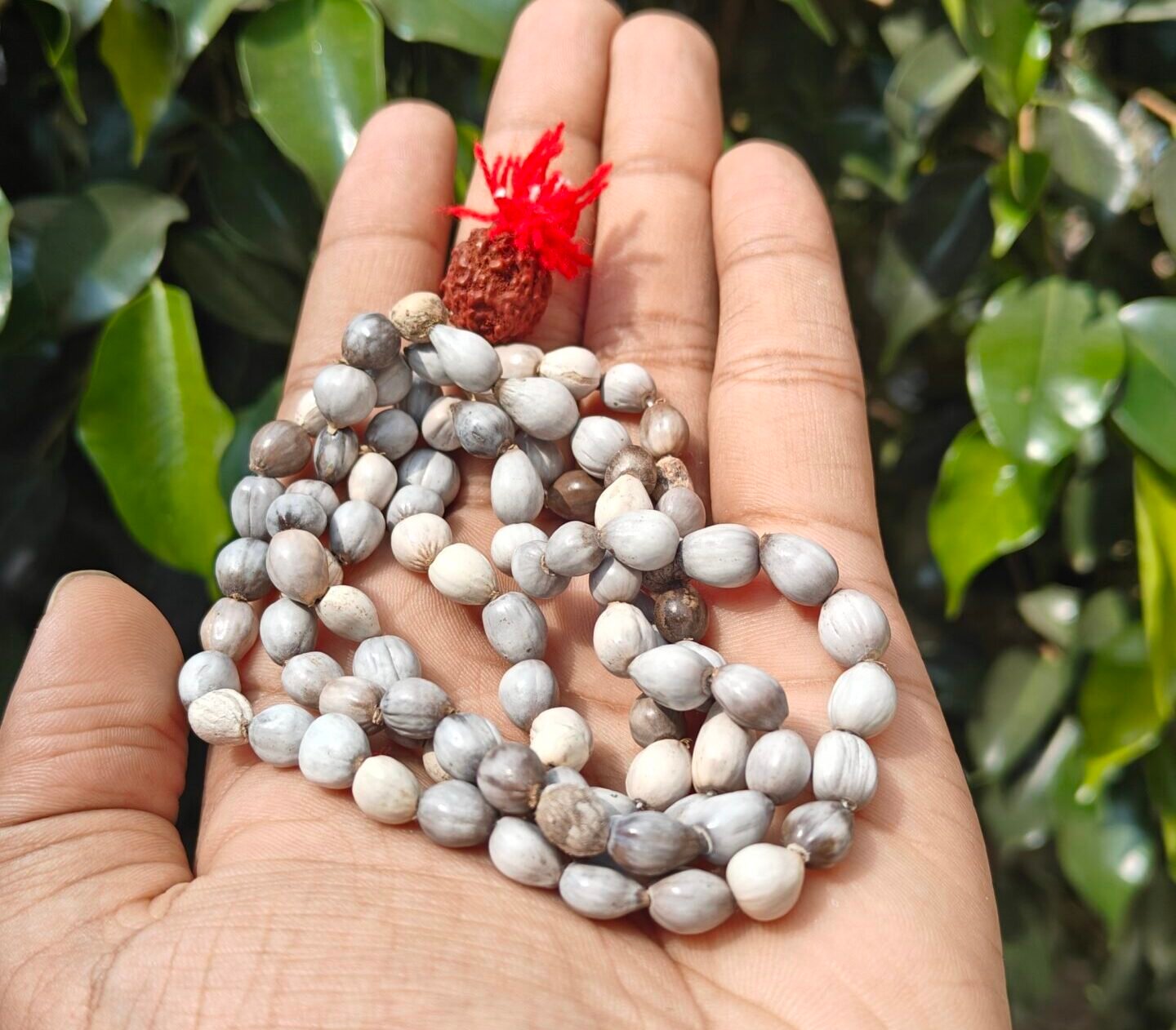 Vaijanti Mala - Image 2