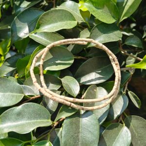 Tulsi Kanthi Mala (Patli)