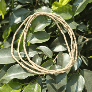 Tulsi Kanthi Mala 3 Round (Patli)