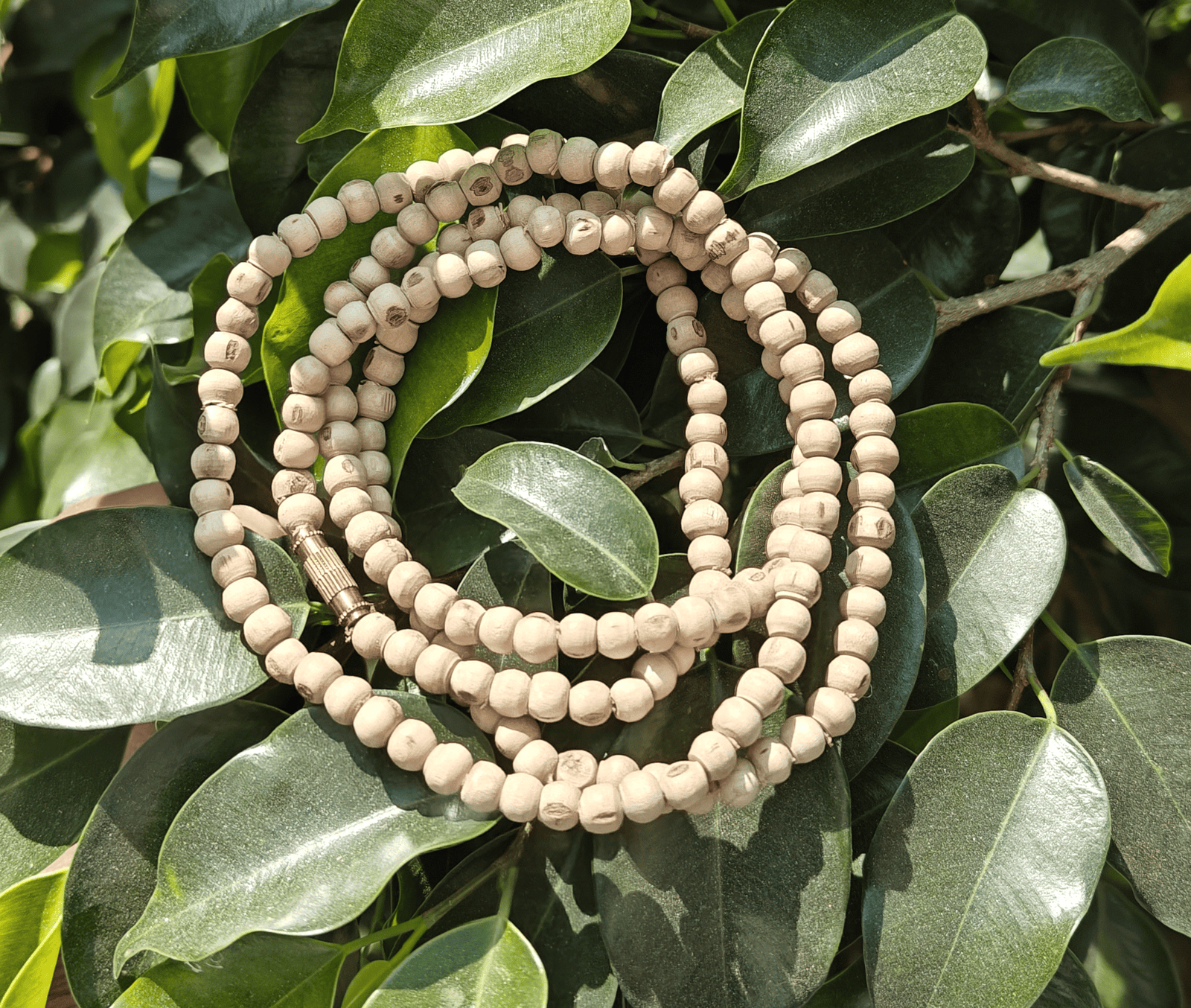 Tulsi Kanthi Mala Gol Dana - Image 1