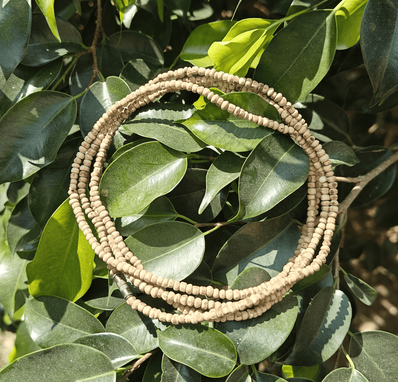 Tulsi Kanthi Mala ( Barik Dana) - Image 1