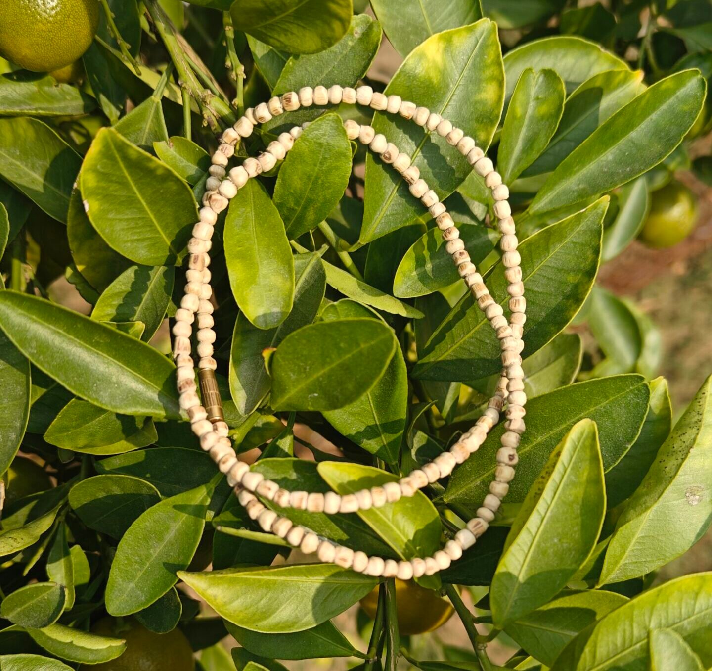 Tulsi Kanthi Mala (Barik Daana) - Image 1